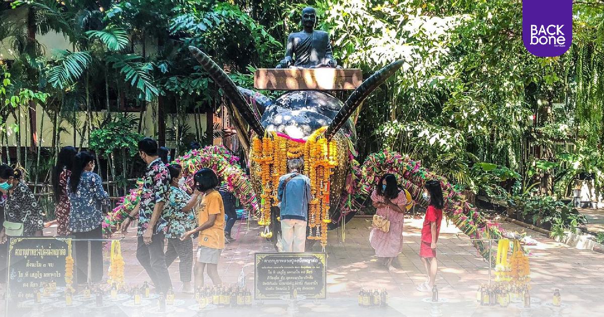 บูชาพญาต่อยักษ์ ให้โชค ร่ำรวย @วัดแค จ.สุพรรณบุรี