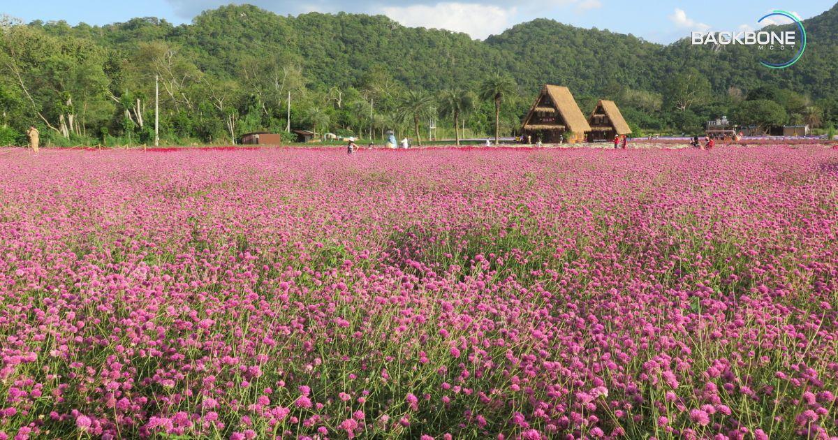 หนาวนี้ ที่ “เขาใหญ่” เติมพลังกาย เสริมพลังใจ ให้ธรรมชาติบำบัด
