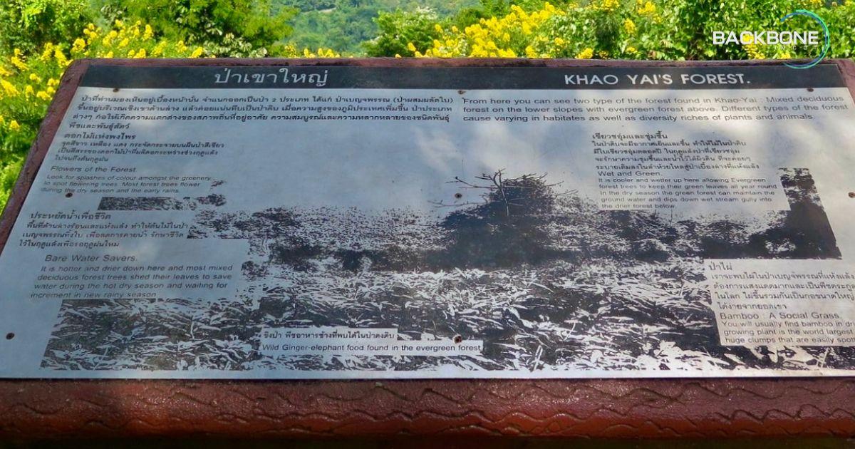 เขาใหญ่จากตำนานดงพญาไฟ สู่เรื่องเล่าอาถรรพ์