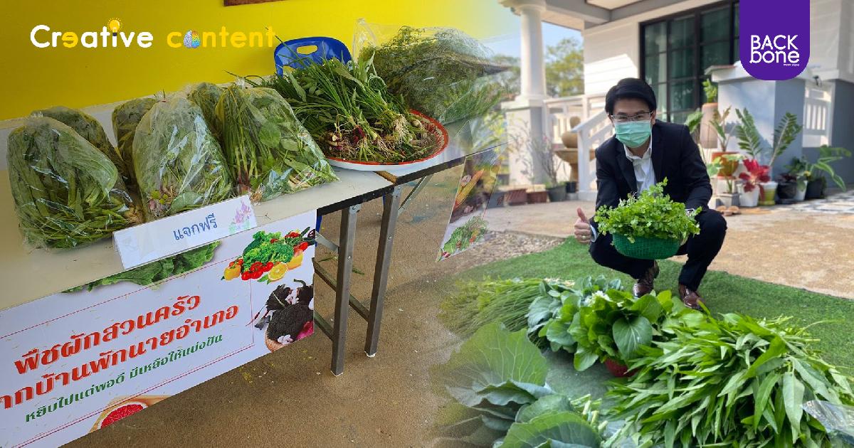 ชื่นชม! นายอำเภอศรีนคร จ.สุโขทัย ปลูกผักสวนครัวที่บ้านพัก แจกประชาชน 