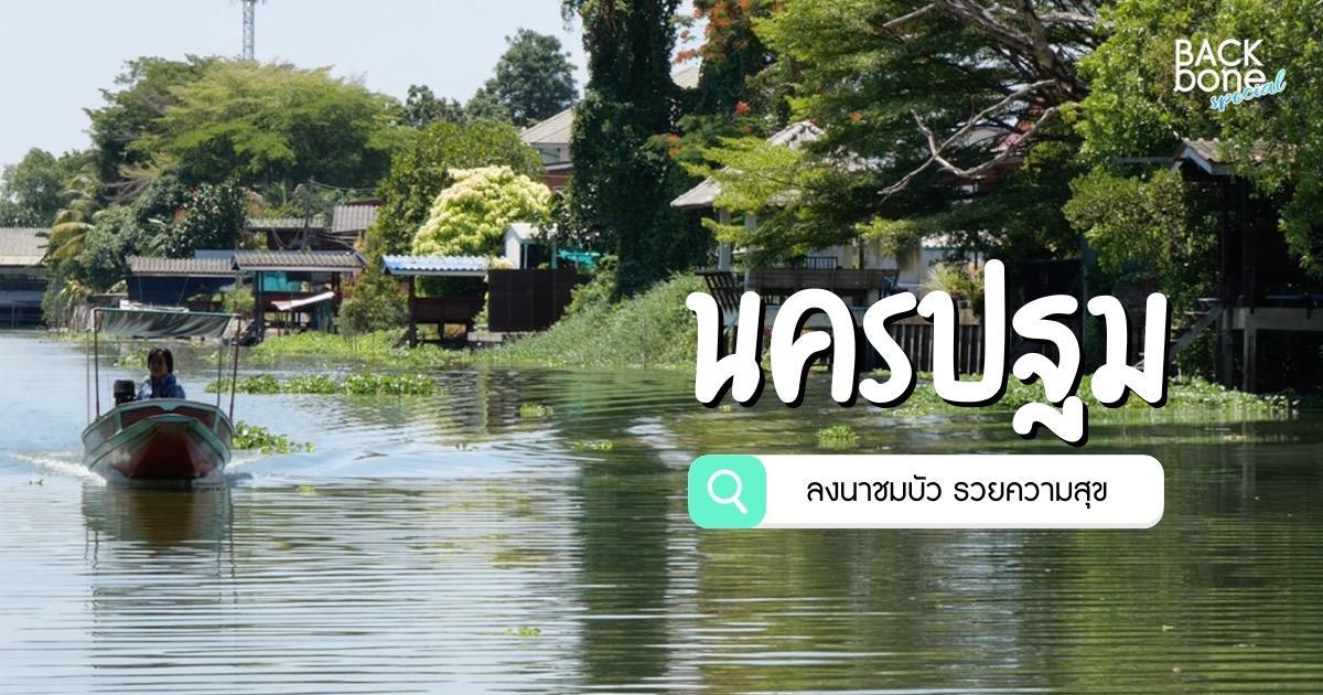 “นครปฐม” ลงนาชมบัว รวยความสุข