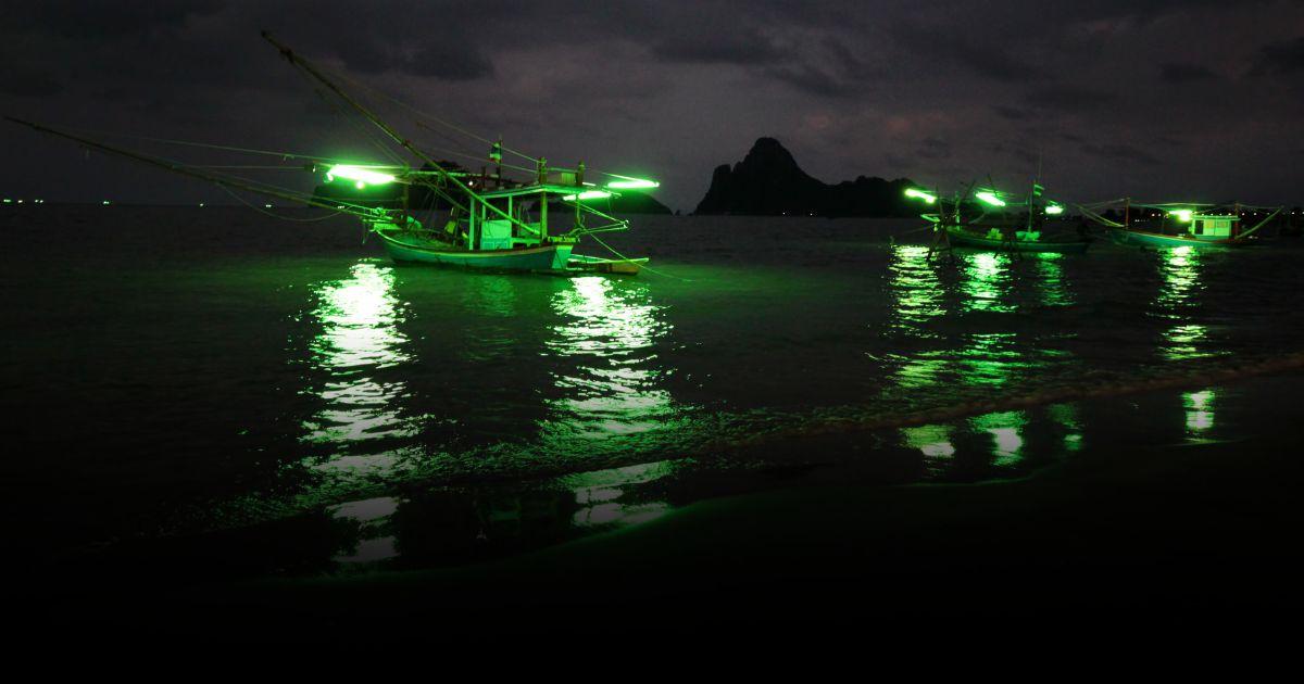 เรือไดหมึก ทำไมต้องแสงสีเขียว สรุปเรื่องเล่าจากอาจารย์ธรณ์