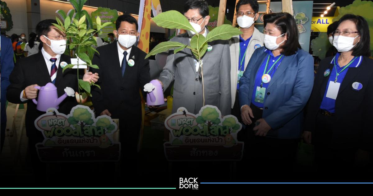 “NRCT Woodland ดินแดนแห่งป่า