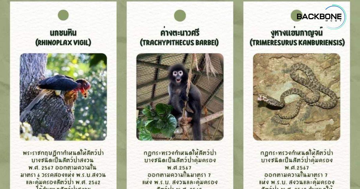 มีสัตว์ป่าครอบครอง ต้องแจ้ง! 3 ชนิดใหม่ 