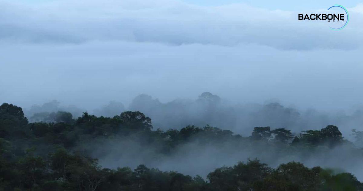 ชวนชมความสวยงาม ทะเลหมอกทุ่งกบาลกะไบ เขาพนมดงรัก