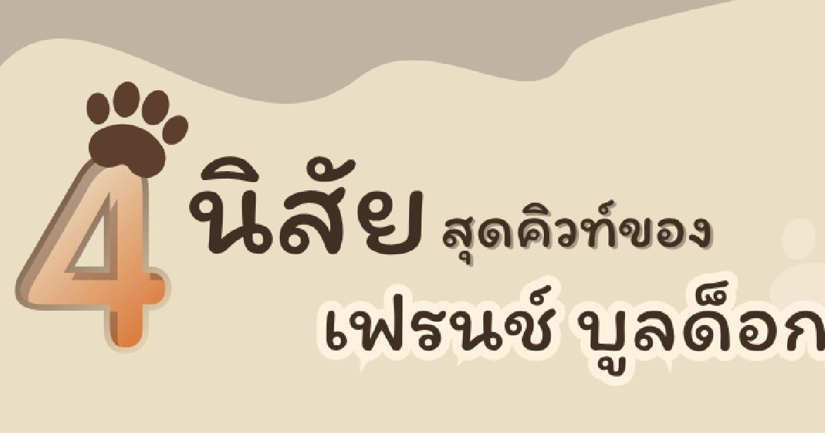 หน้าดุ แต่แบ๊วกรุบ! 4 นิสัยสุดคิวท์ของ เฟรนช์ บูลด็อก