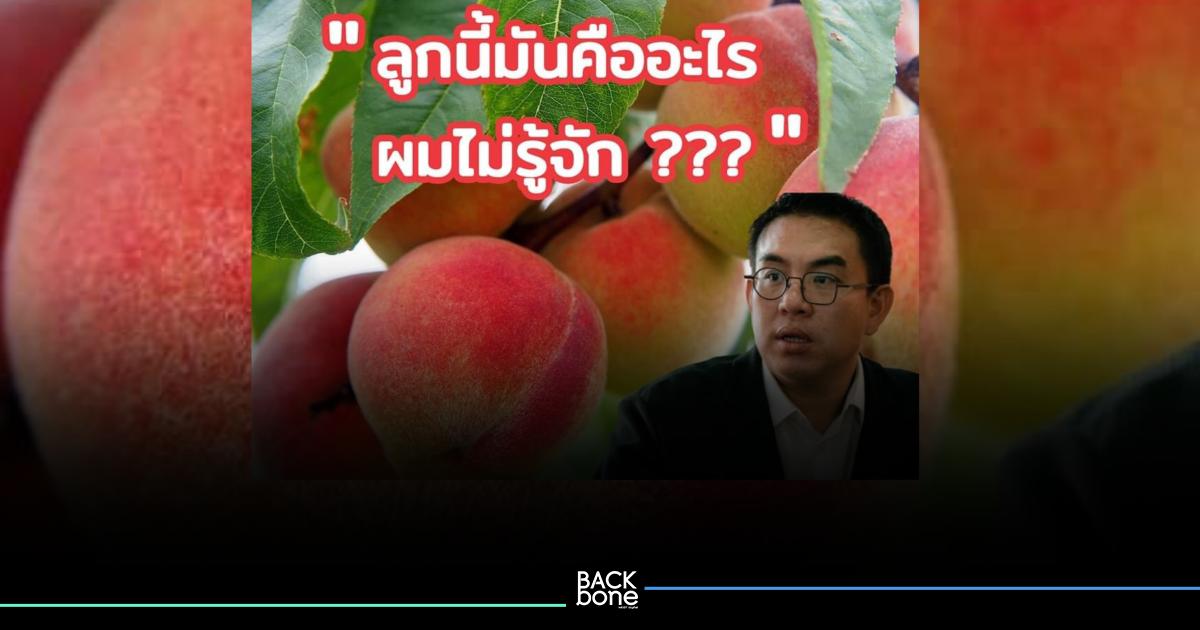 “วิโรจน์ ลักขณาอดิศร” ส.ส.บัญชีรายชื่อ พรรคก้าวไกล โพสต์ถาม..ลูกนี้คือลูกอะไรครับ?