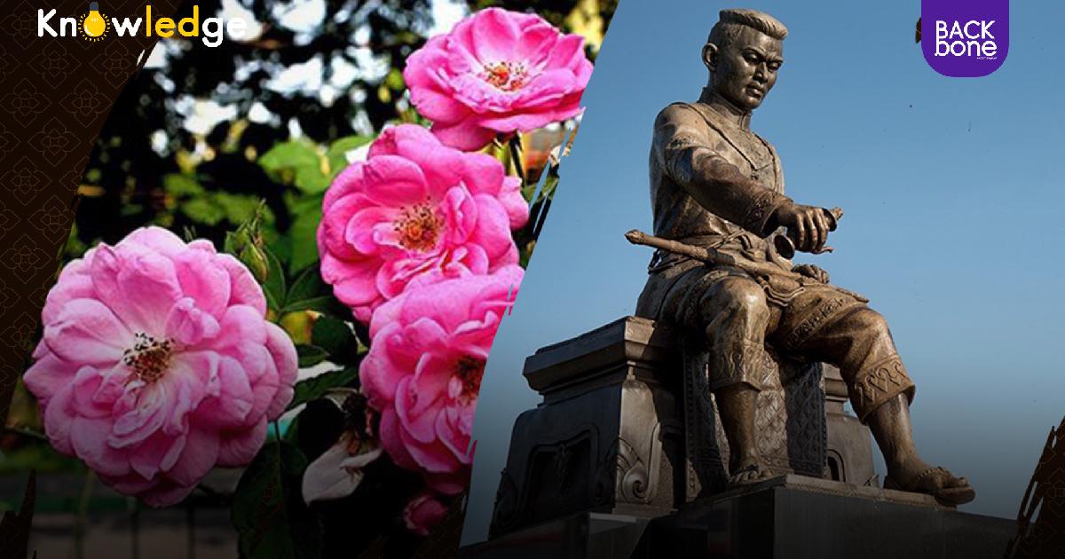 กุหลาบมอญ ของขวัญแห่งการประกาศอิสรภาพ สมเด็จพระนเรศวรมหาราช