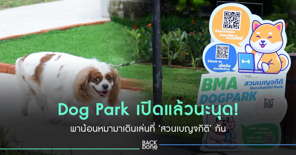 “Dog Park” สวนสุนัขใจกลางกรุง ณ สวนเบญจกิติ