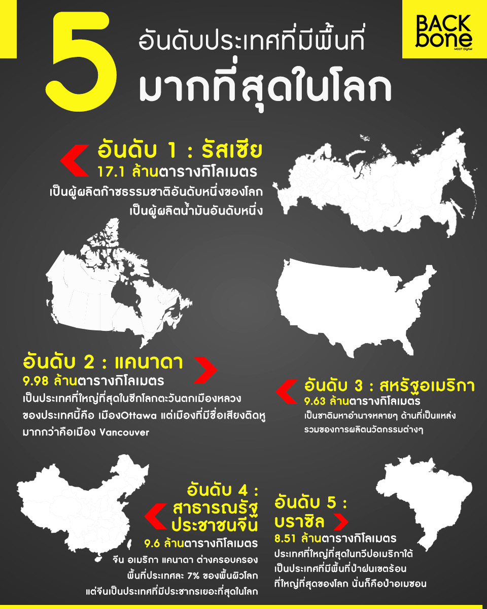 My Image 3