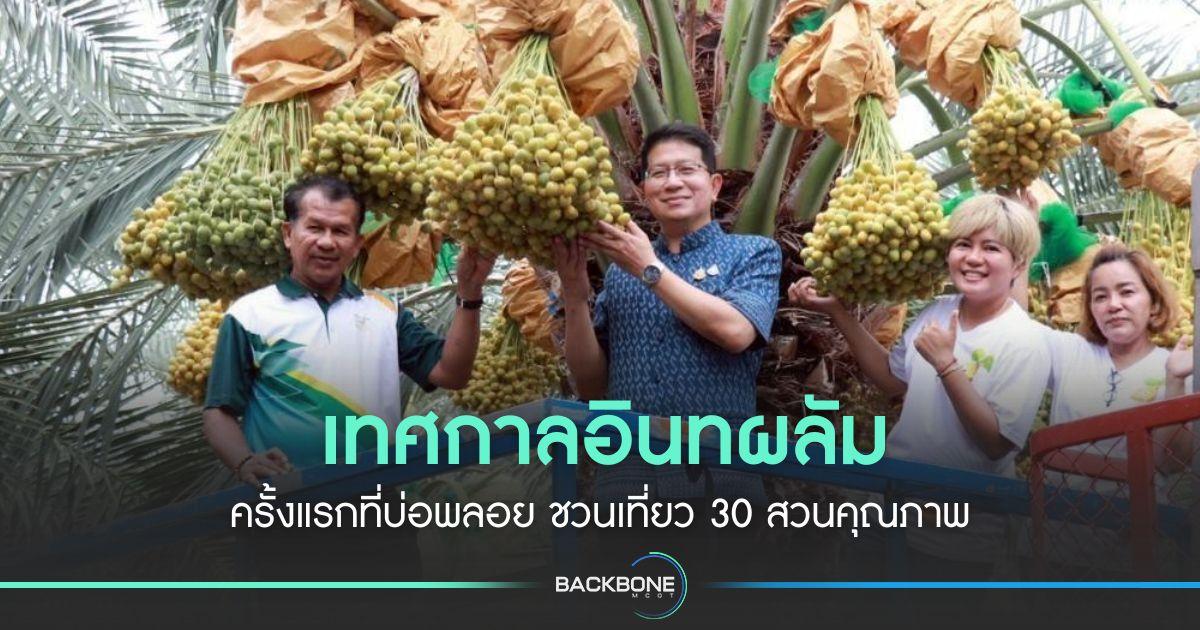 ครั้งแรกที่บ่อพลอย เทศกาลอินทผลัม ชวนมาเที่ยว 30 สวนคุณภาพ