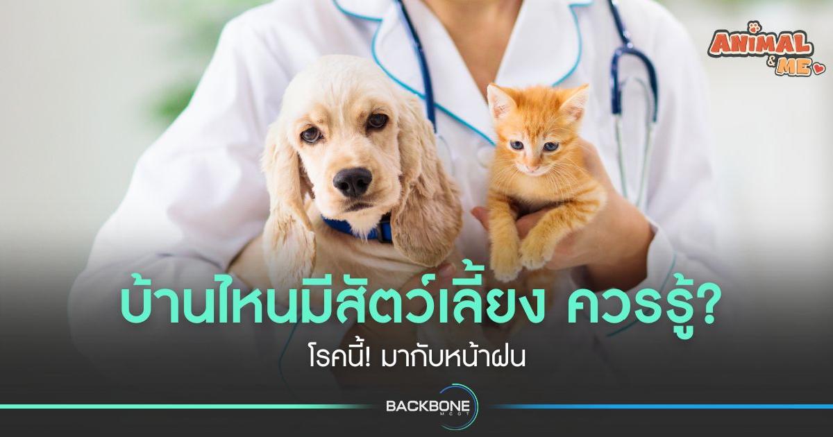 บ้านไหนมีสัตว์เลี้ยง ควรรู้? โรคนี้! มากับหน้าฝน