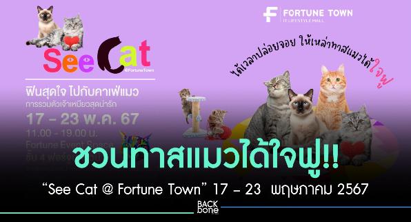 ทาสแมวต้องมา “See Cat @ Fortune Town”   ระหว่างวันที่ 17 – 23  พฤษภาคม 2567