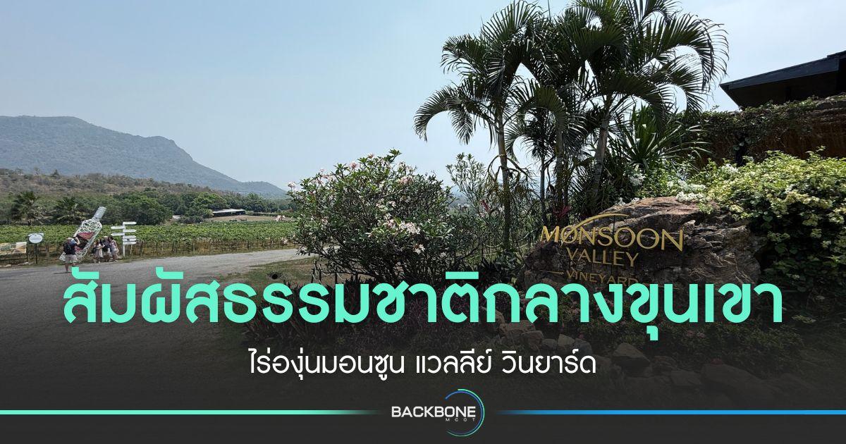สัมผัสธรรมชาติกลางขุนเขา “ไร่องุ่นมอนซูน แวลลีย์ วินยาร์ด”