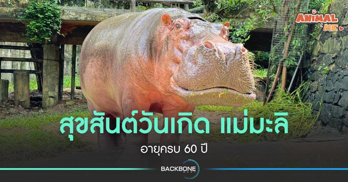 สุขสันต์วันเกิด “แม่มะลิ” อายุครบ 60 ปี