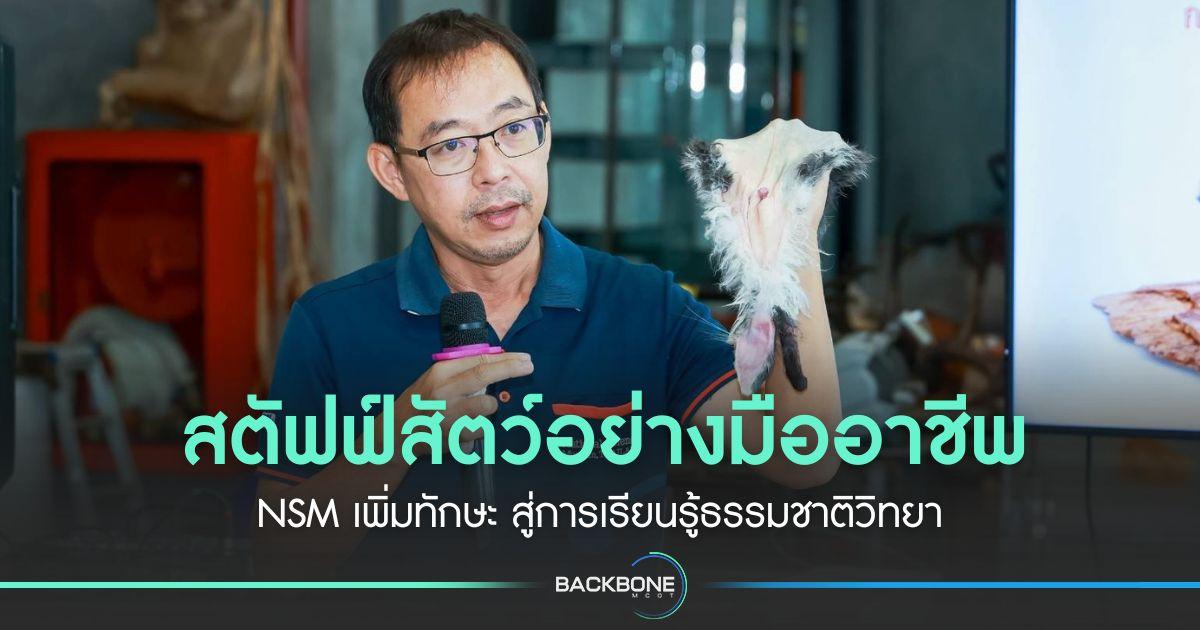 สตัฟฟ์สัตว์อย่างมืออาชีพ NSM เพิ่มทักษะ NSM เพิ่มทักษะ สู่การเรียนรู้ธรรมชาติวิทยา