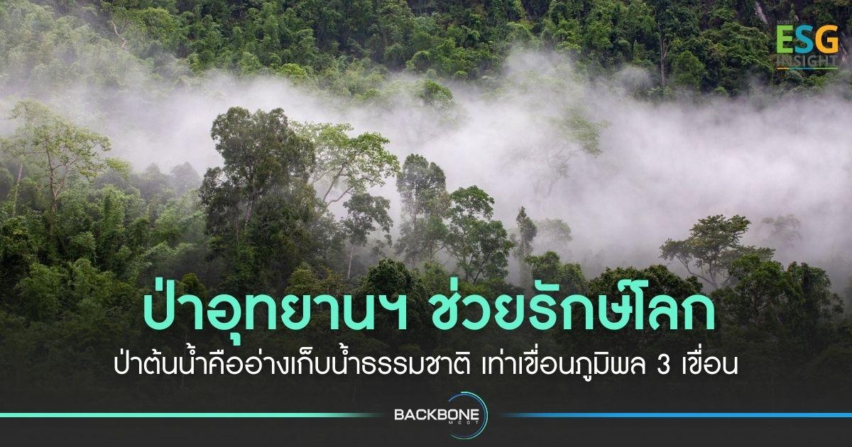 ป่าอุทยานฯ ช่วยรักษ์โลก ป่าต้นน้ำคืออ่างเก็บน้ำธรรมชาติ เท่าเขื่อนภูมิพล 3 เขื่อน