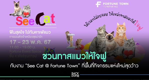 ชวนทาสแมวให้ใจฟู กับงาน “See Cat @ Fortune Town”
