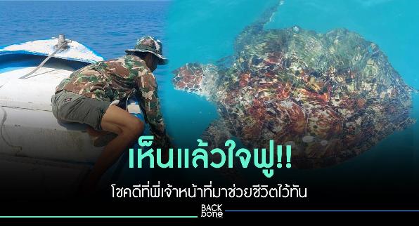 น้องเต่าตนุปลอดภัยได้ใช้ชีวิตตามธรรมชาติในทะเลอ่าวไทยดังเดิม