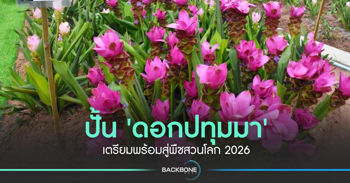 เตรียมปั้น 'ดอกปทุมมา' เตรียมพร้อมสู่พืชสวนโลก 2026