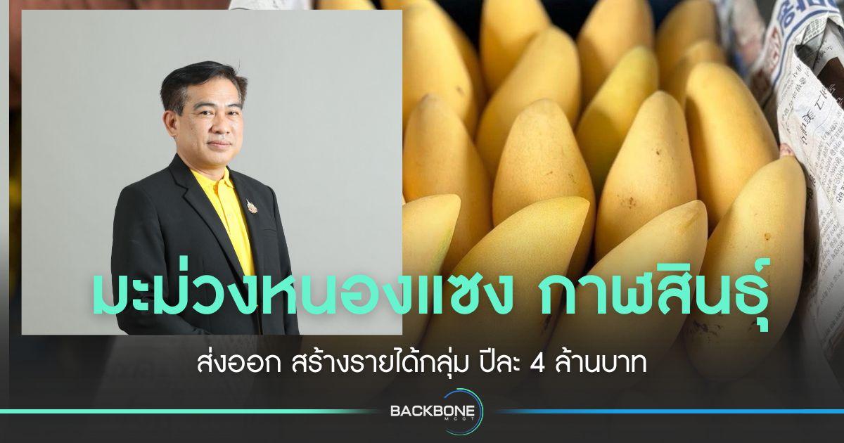 มะม่วงส่งออก จ.กาฬสินธุ์ ส่งออกทำรายได้ ปีละ 4 ล้านบาท