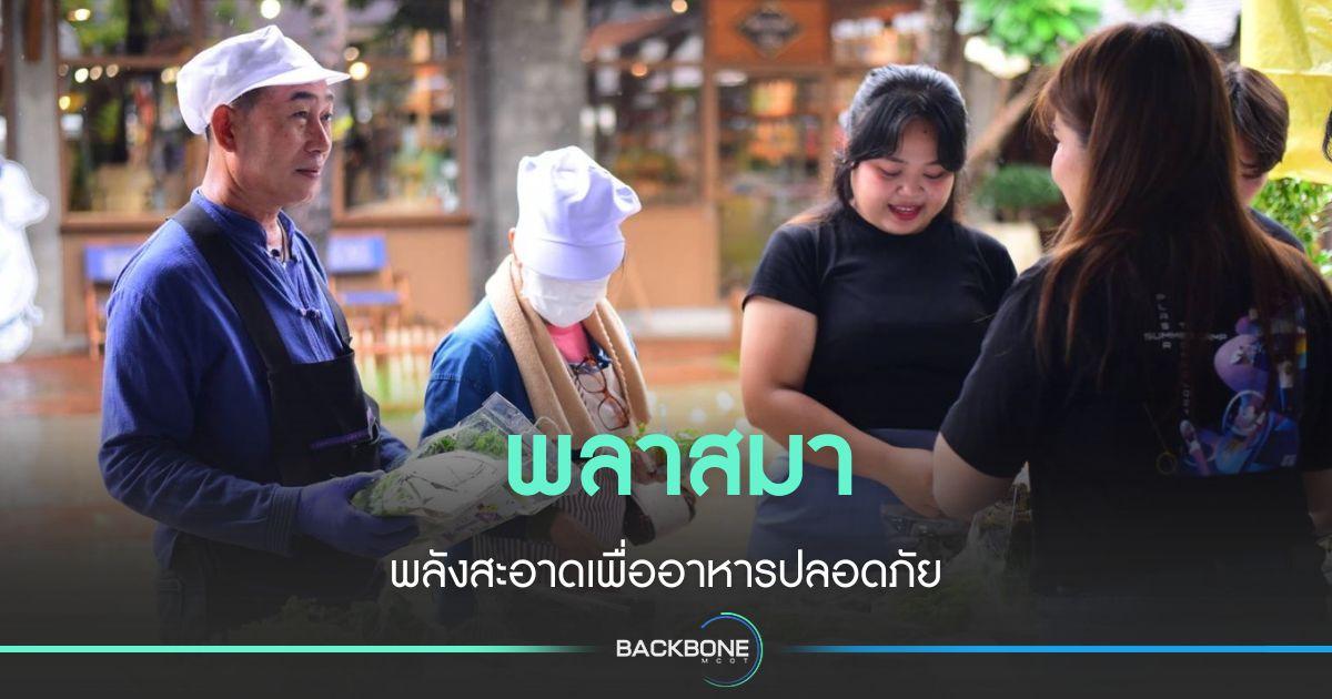 ABPlas STeP ทำ ‘น้ำกระตุ้นพลาสมา’ ทดแทนปุ๋ยไนโตรเจน