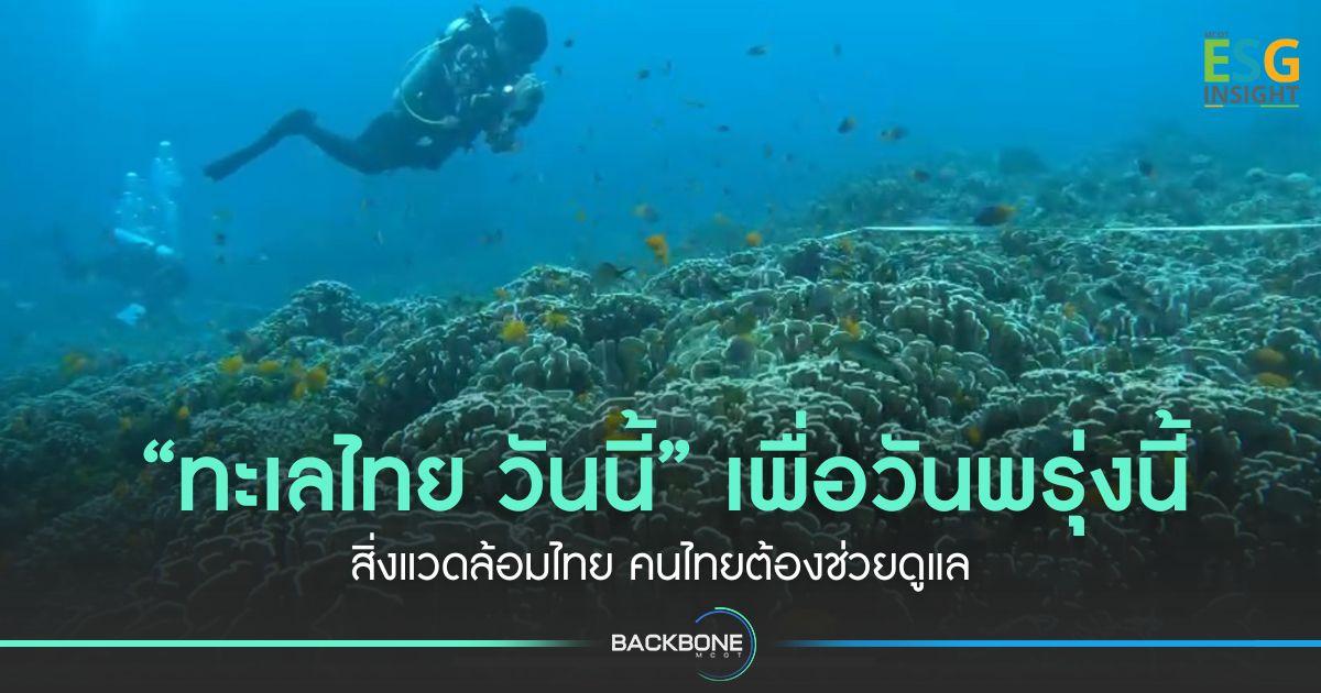 “ทะเลไทย วันนี้” เพื่อวันพรุ่งนี้ สิ่งแวดล้อมไทย คนไทยต้องช่วยดูแล