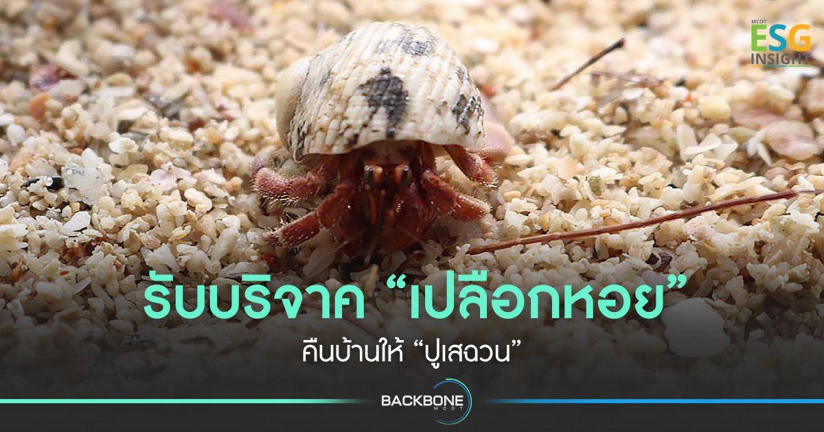 รับบริจาค “เปลือกหอย” คืนบ้านให้ “ปูเสฉวน”