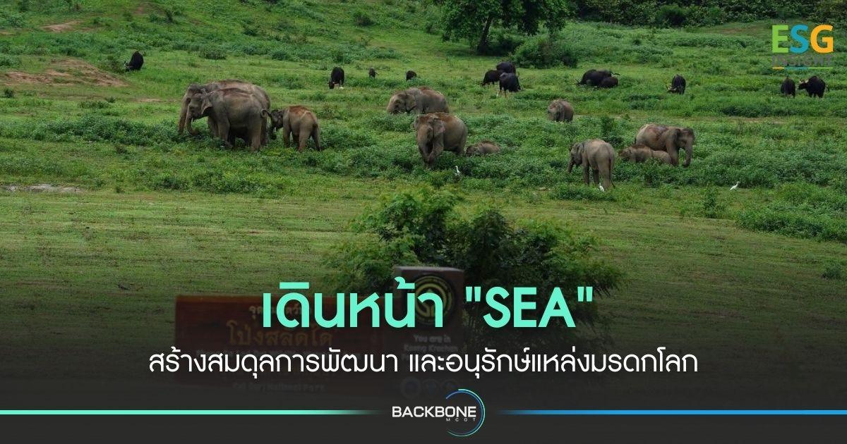 เดินหน้า 