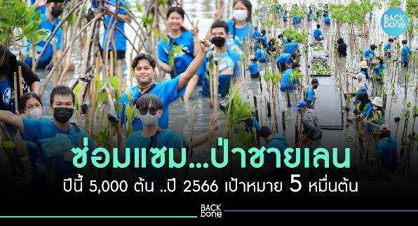 ชวนเยาวชนเก่ง ร่วมกิจกรรมจิตอาสา ซ่อมแซมป่าชายเลนปีนี้ 5,000 ต้น