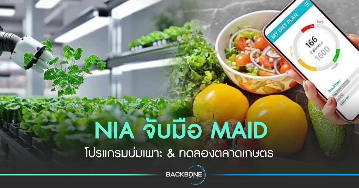 NIA จับมือ MAID โปรแกรมบ่มเพาะ & ทดลองตลาดเกษตร
