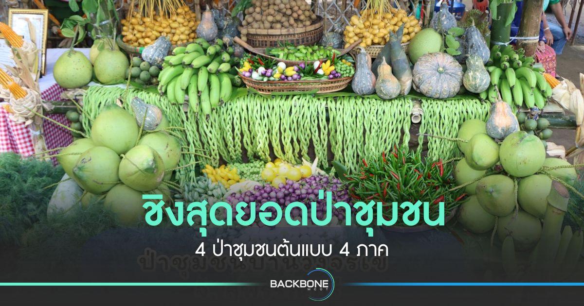 ชิงสุดยอดป่าชุมชน 4 ป่าชุมชนต้นแบบ 4 ภาค