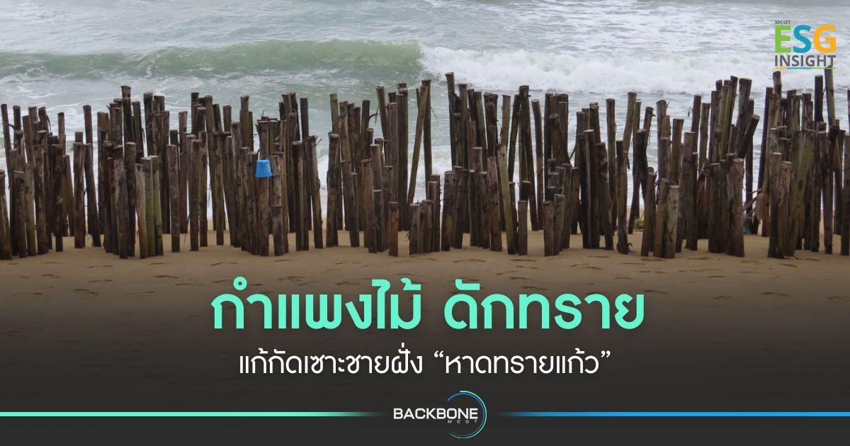 กำแพงไม้ดักทราย แก้กัดเซาะชายฝั่ง “หาดทรายแก้ว”