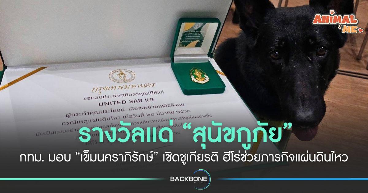 รางวัลแด่ “สุนัขกู้ภัย” กทม. มอบ “เข็มนคราภิรักษ์” เชิดชูเกียรติฮีโร่ช่วยภารกิจแผ่นดินไหว