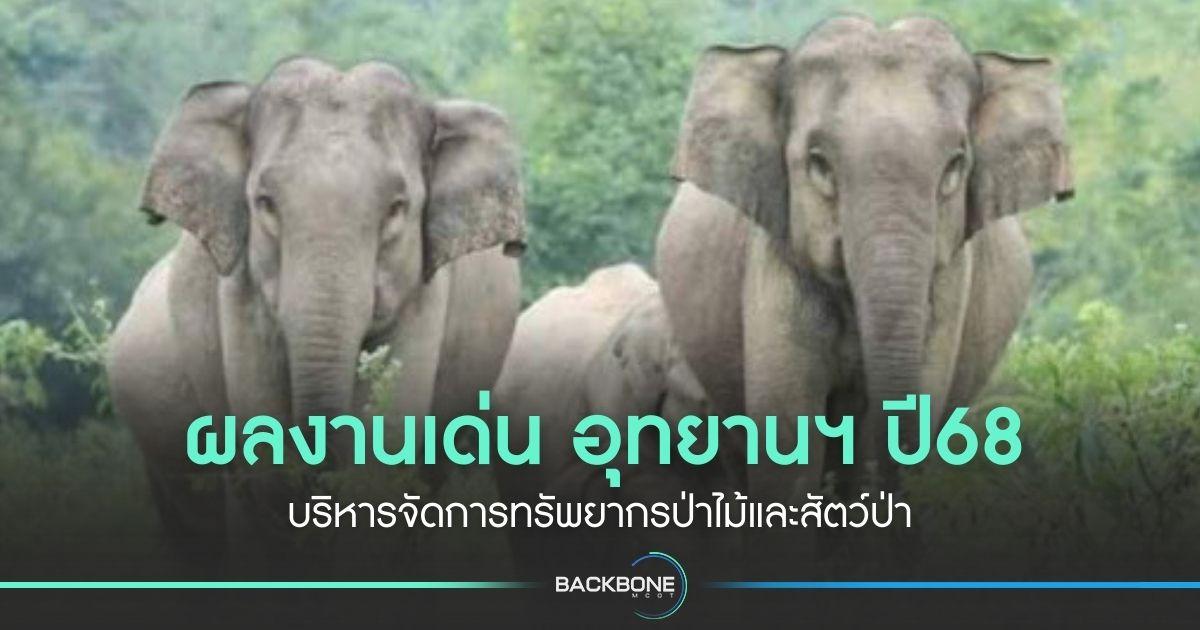 ผลงานเด่น อุทยานฯ ปี68 บริหารจัดการทรัพยากรป่าไม้และสัตว์ป่า