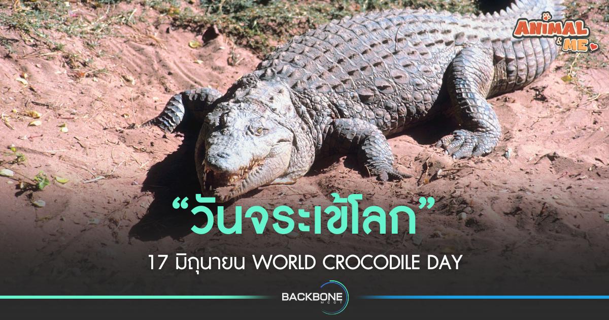 “วันจระเข้โลก” 17 มิถุนายน World Crocodile Day