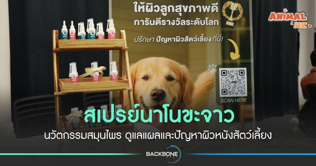 สเปรย์นาโนขะจาว นวัตกรรมสมุนไพร ดูแลแผลและปัญหาผิวหนังสัตว์เลี้ยง