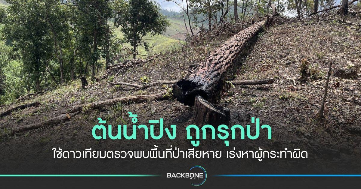 ต้นน้ำปิง ถูกรุกป่า ใช้ดาวเทียมตรวจพบพื้นที่ป่าเสียหาย เร่งหาผู้กระทำผิด