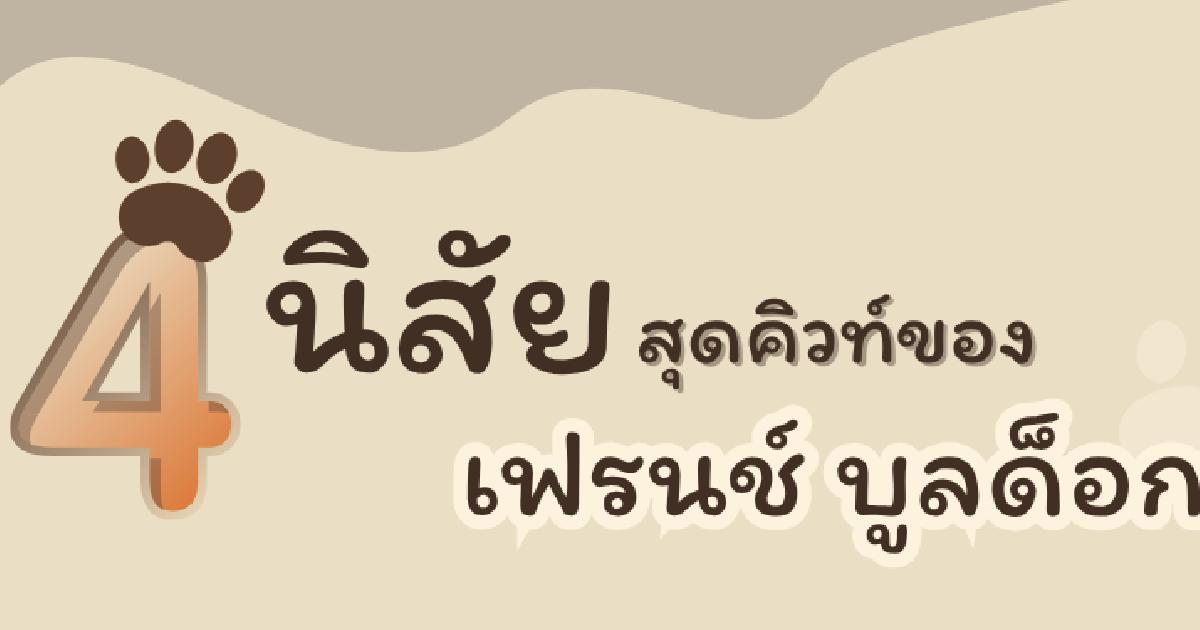หน้าดุ แต่แบ๊วกรุบ! 4 นิสัยสุดคิวท์ของ เฟรนช์ บูลด็อก